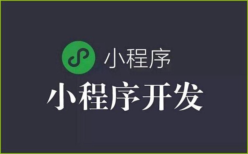 浙江软件开发公司的崛起与展望